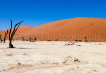 Galerie Namibia 2017